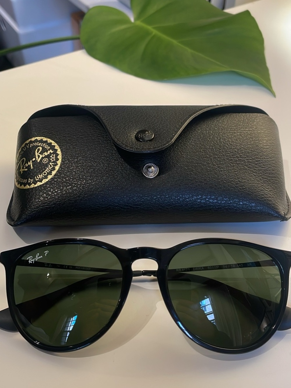 Ray-Ban Black Frame Sunglasses with Polarized Lenses